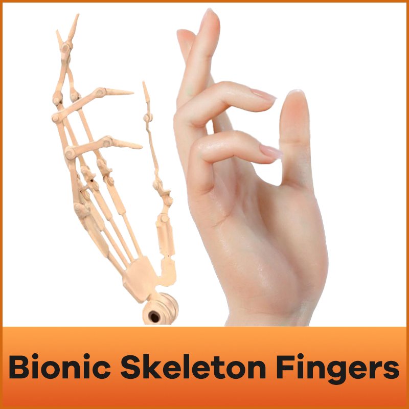 Hand Skeleton QQ-Doll-Hand-Skeleton(+$199)